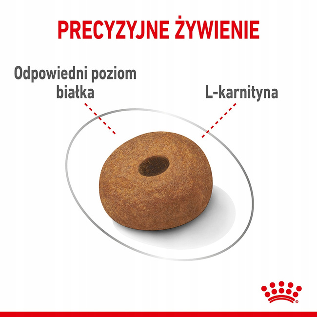 ROYAL CANIN Maxi Light Care karma sucha dla psów dorosłych 12 kg