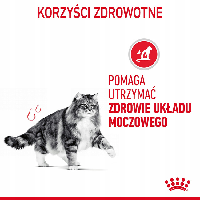 ROYAL CANIN Feline Care Nutrition Relaunch - Urinary Care - Dry 10 kg