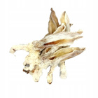 GACZOO 100% Naturalny przysmak dla psa Ucho Królicze z futrem 20 szt gryzak