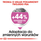 ROYAL CANIN CCN Mini Relax Care karma sucha dla psów dorosłych 8 kg