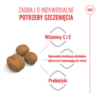 ROYAL CANIN Giant Puppy karma sucha dla szczeniąt 15 kg