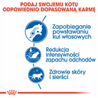 ROYAL CANIN Indoor Long Hair karma sucha dla kotów dorosłych 4 kg