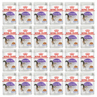 ROYAL CANIN Sterilised Jelly karma mokra w galaretce dla kota 24 x 85g