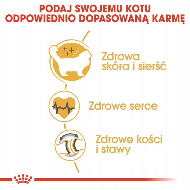 ROYAL CANIN Ragdol Adult karma sucha dla kotów dorosłych 10 kg