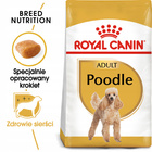 ROYAL CANIN Poodle Adult karma sucha dla psów dorosłych rasy 1,5 kg