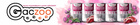 Mokra karma monobiałkowa dla psa Gaczoo MONO PROTEIN Wołowina 12 x 400g