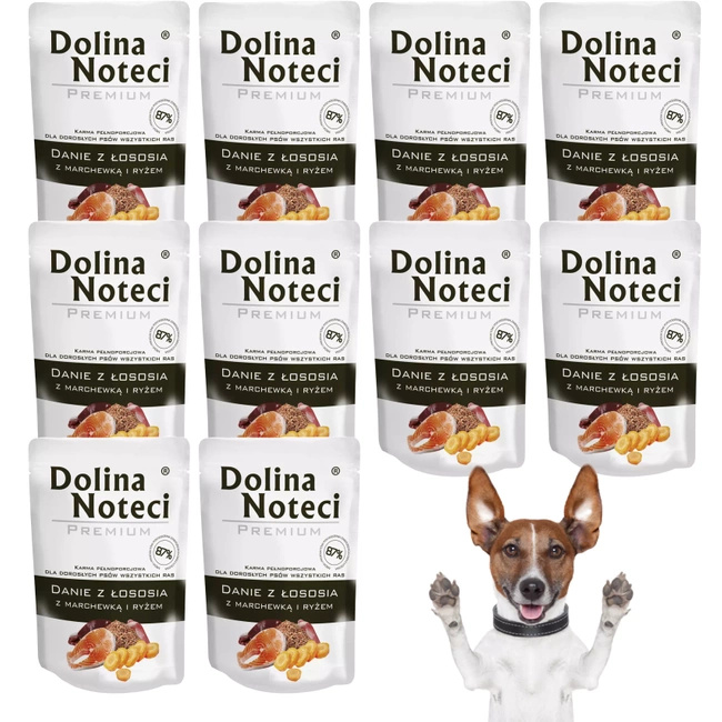 Dolina Noteci Premium Danie mokra karma dla psa 10 x 100g Łosoś