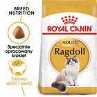 ROYAL CANIN Ragdol Adult karma sucha dla kotów dorosłych 0,4 kg
