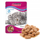 Saszetka Karma mokra dla kota BENEK MIX SMAKÓW 40x100g