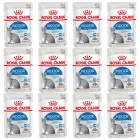 ROYAL CANIN Indoor Sterilised, karma mokra w galaretce 12 x 85 g
