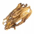 GACZOO 100% Naturalny przysmak dla psa Ucho Królicze bez futra 20 sztuk smakołyk