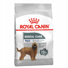 ROYAL CANIN CCN Maxi Dental Care karma sucha dla psów dorosłych 9 kg