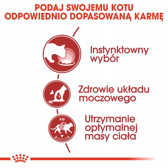 ROYAL CANIN Instinctive pasztet karma mokra dla kotów dorosłych 12 x 85 g