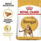 ROYAL CANIN Bengal Adult karma sucha dla kotów dorosłych rasy Bengal 2kg