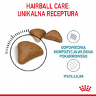 ROYAL CANIN Feline Care Nutrition Relaunch - Hairball Care - Dry 10 kg