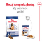 ROYAL CANIN Maxi Ageing 8+ karma sucha dla psów starszych, ras dużych 15 kg