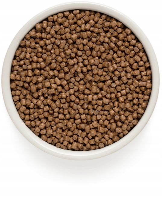 GRANDORF KITTEN Karma sucha dla kociąt Jagnięcina Indyk 400g