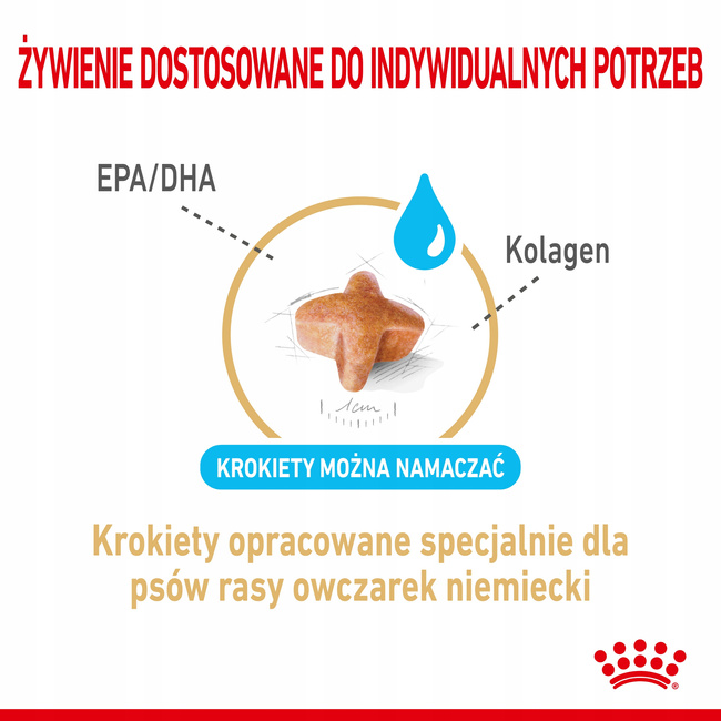 Royal Canin German Shepherd Adult 5+ karma sucha dla dorosłych psów 12 kg