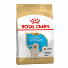 ROYAL CANIN Golden Retriever Puppy karma sucha dla szczeniąt 3 kg