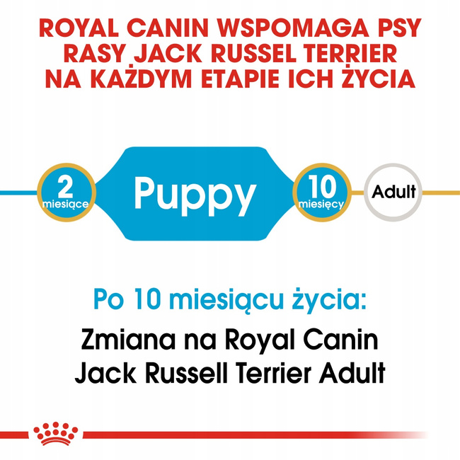 ROYAL CANIN Jack Russell Terrier Puppy karma sucha dla szczeniąt 3 kg