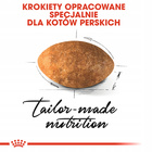 ROYAL CANIN Persian Adult karma sucha dla kotów dorosłych rasy pers 10 kg