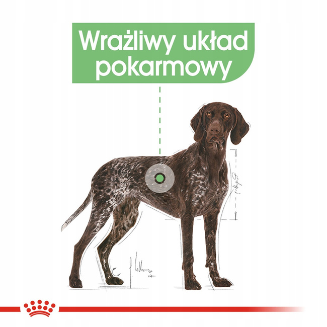 ROYAL CANIN CCN Maxi Digestive Care karma sucha dla psów dorosłych 3 kg