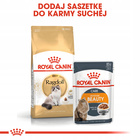 ROYAL CANIN Ragdol Adult karma sucha dla kotów dorosłych 0,4 kg