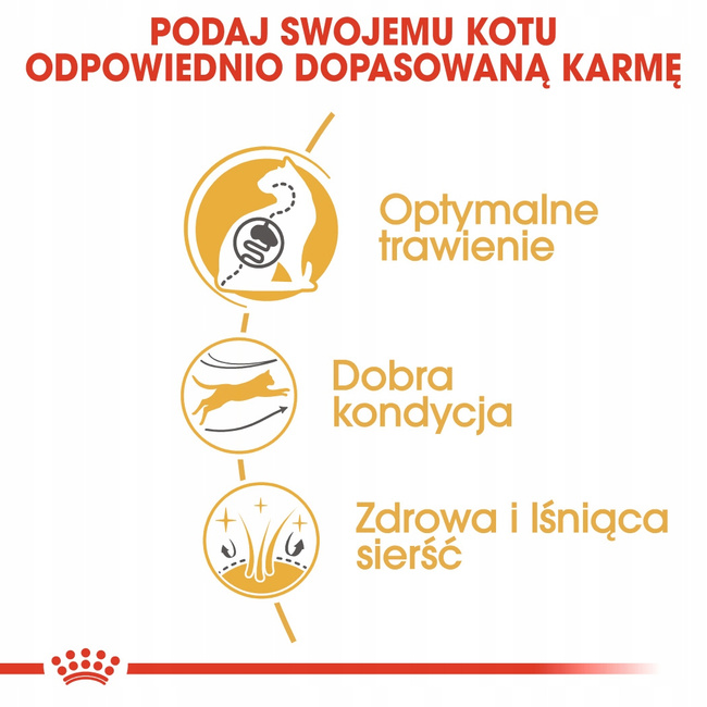 ROYAL CANIN Bengal Adult karma sucha dla kotów dorosłych rasy Bengal 2kg