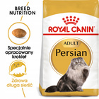 ROYAL CANIN Persian Adult karma sucha dla kotów dorosłych rasy pers 2 kg
