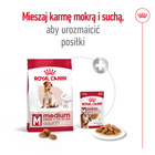 ROYAL CANIN Medium Adult 7+ karma sucha dla psów dojrzałych 15 kg