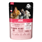 PET REPUBLIC Fileciki karma mokra dla kota Łosoś 100g Bezzbożowa