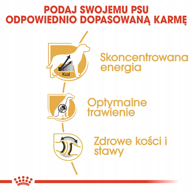 ROYAL CANIN Great Dane Adult karma sucha dla psów dorosłych 12 kg