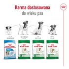 ROYAL CANIN Mini Adult 8+ karma sucha dla psów dojrzałych ras małych 0,8 kg