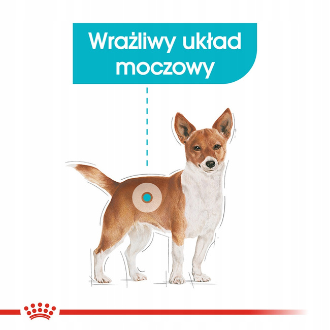 ROYAL CANIN CCN Mini Urinary Care karma sucha dla psów dorosłych 8 kg