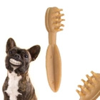 HAU&MIAU Przysmak dla psa z wapniem do zębów brązowa x 1 szt