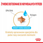 Royal Canin German Shepherd Adult 5+ karma sucha dla dorosłych psów 12 kg