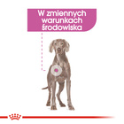 ROYAL CANIN CCN Maxi Relax Care karma sucha dla psów dorosłych 9 kg