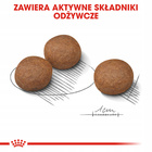 ROYAL CANIN CCN Medium Digestive Care karma sucha dla psów dorosłych 12 kg