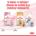 ROYAL CANIN Kitten Instinctive karma mokra w galaretce dla kociąt 12 x 85 g