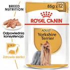 ROYAL CANIN Yorkshire Terrier w formie pasztetu 12 x 85g