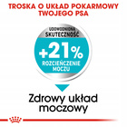 ROYAL CANIN CCN Mini Urinary Care karma sucha dla psów dorosłych 1 kg