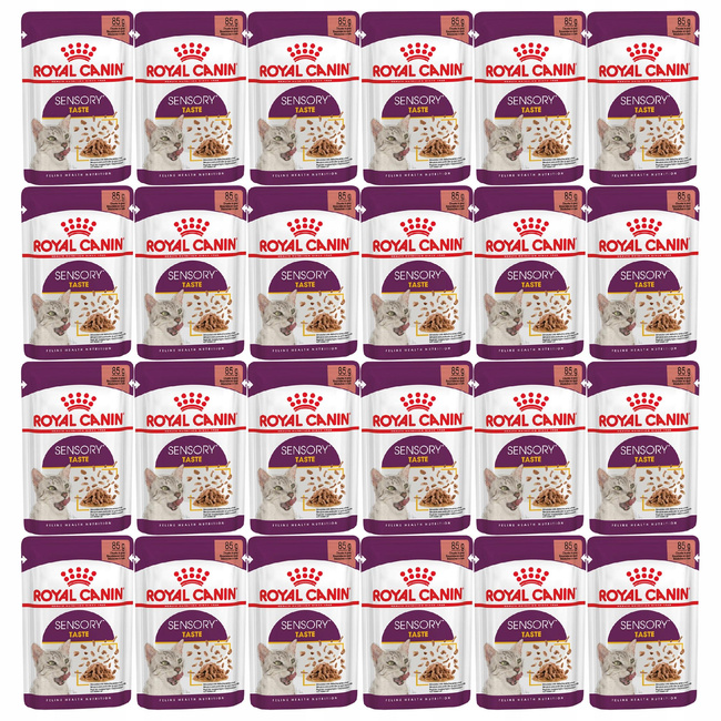 ROYAL CANIN Sensory Taste Gravy karma mokra w sosie dla kota 24 x 85g