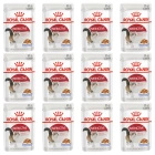 ROYAL CANIN Instinctive galaretka karma mokra dla kotów dorosłych 12 x 85 g