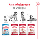 ROYAL CANIN Medium Adult karma sucha dla psów dorosłych, ras średnich 4 kg