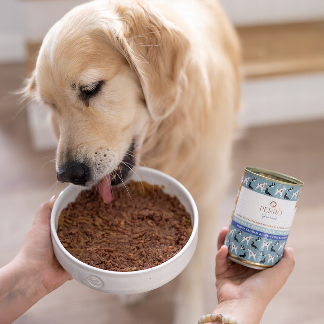 PERRO Gourmet Karma mokra dla psa Jeleń z cukinią 24 x 400g