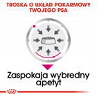 ROYAL CANIN CCN Mini Exigent karma mokra- pasztet dla psów 12 x 85g