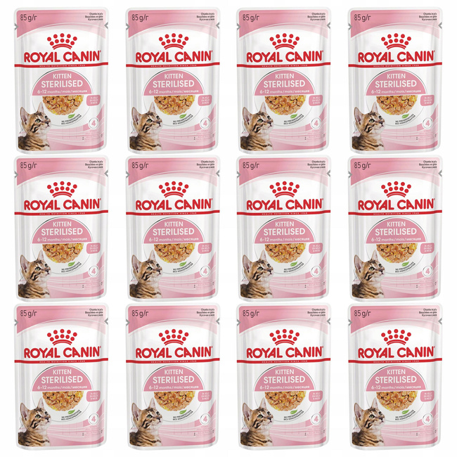 ROYAL CANIN Kitten Sterilised karma mokra w galaretce dla kociąt 12 x 85g
