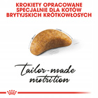 ROYAL CANIN British Shorthair Kitten karma sucha dla kociąt 10 kg