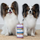 PERRO Gourmet Karma mokra dla psa Jeleń z cukinią 12 x 200g