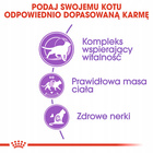ROYAL CANIN Sterilised +7 karma sucha dla kotów dorosłych 1,5 kg